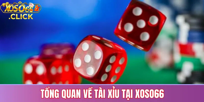 Giới thiệu luật chơi tài xỉu tại Xoso66 với các cửa cược phổ biến